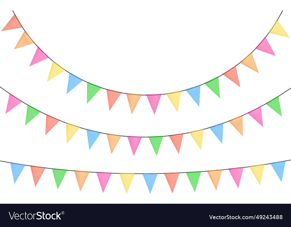 Birthday bunting garlands with flags made Vector Image