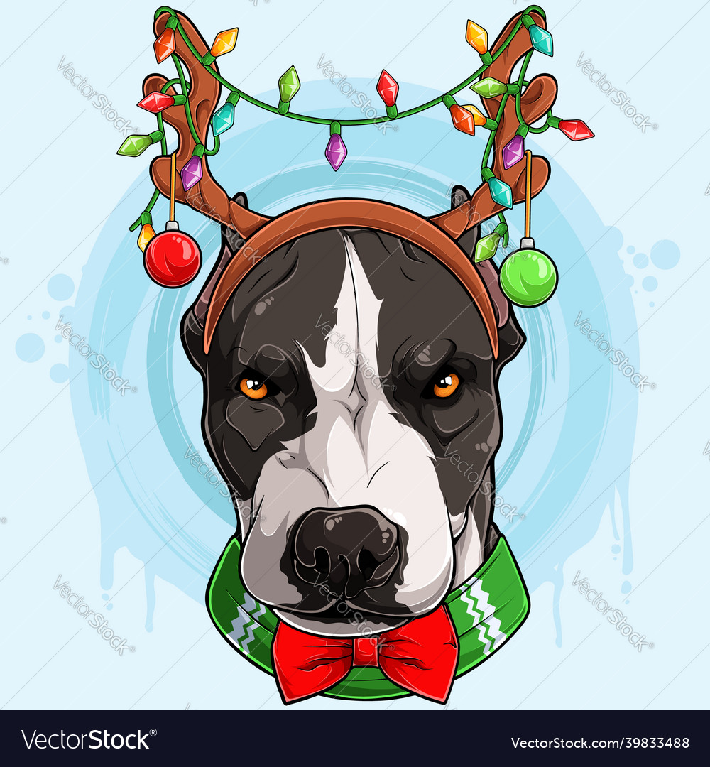 Funny serious christmas pit bull dog head wearing