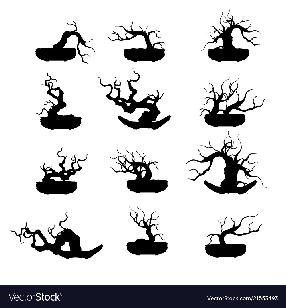 Bonsai tree plant silhouette icons on background