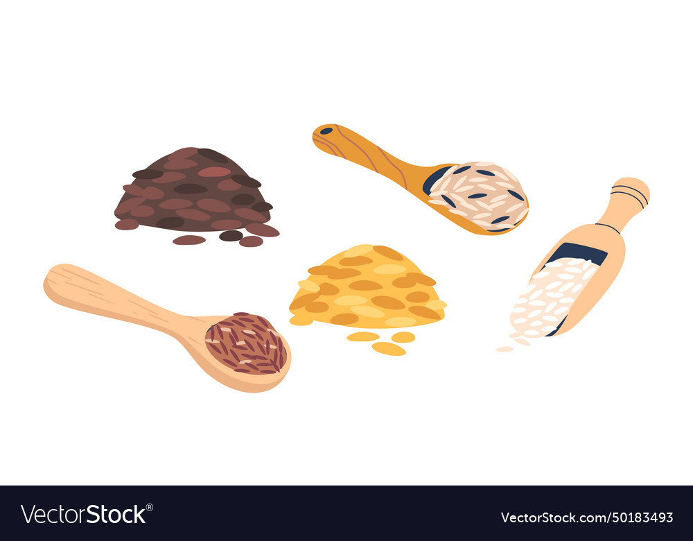 Rice cereal grains icons set small food