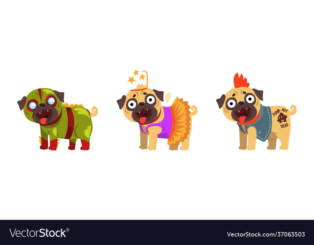 Funny pug dog in colorful costumes set