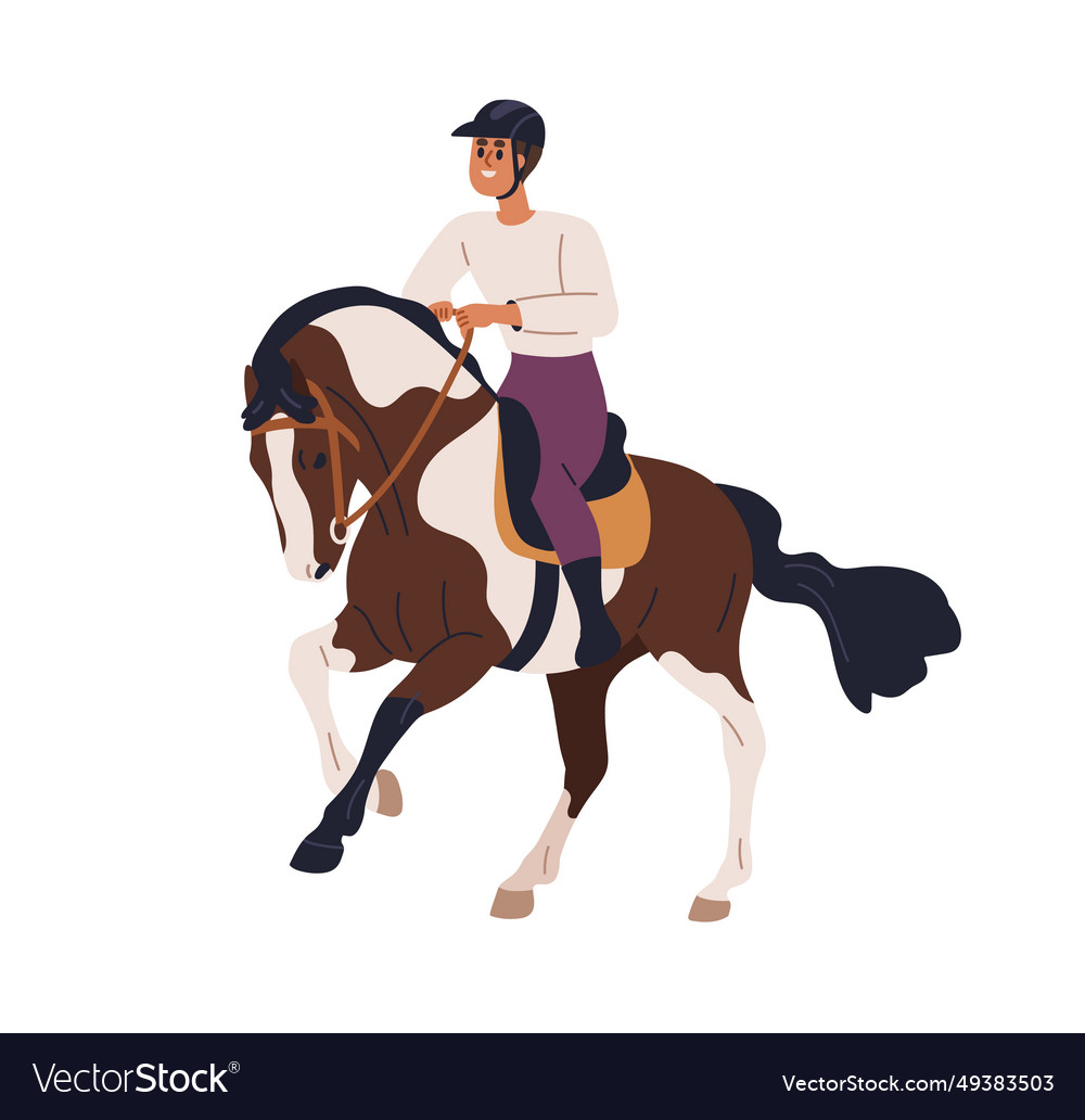 Horse Rider Equestrian Riding Horseback Sitting Vector Image