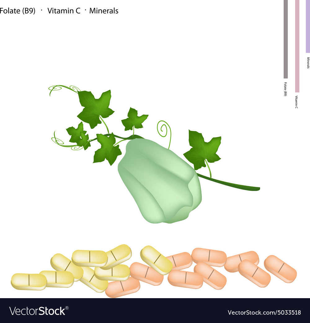 Chayote fruit with vitamin b9 and c