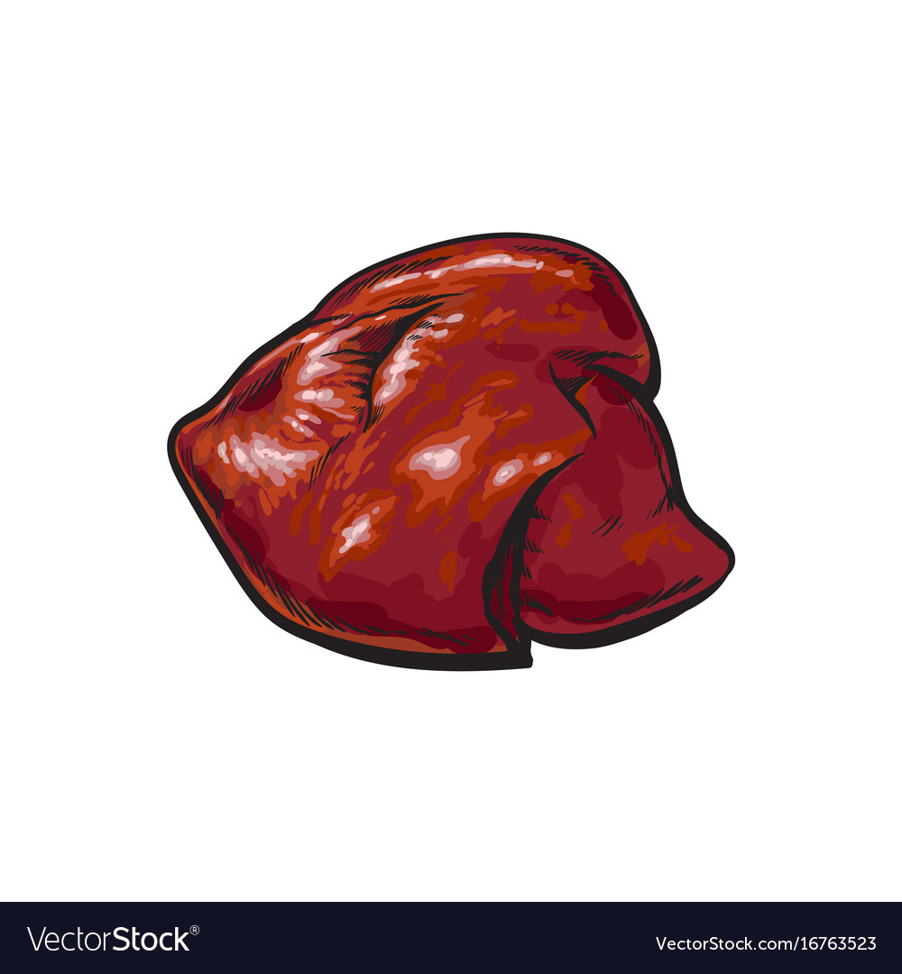 Pork raw liver offal sketch isolated Royalty Free Vector