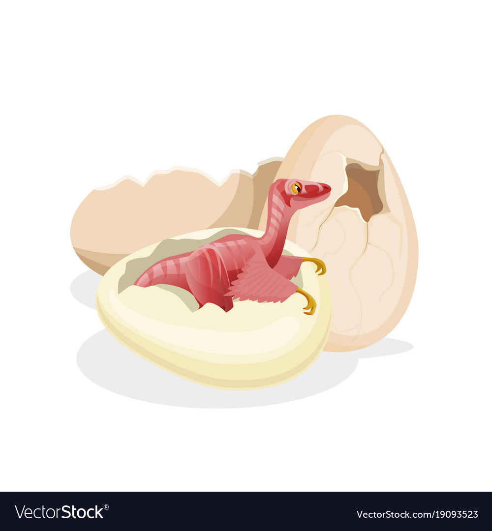 Free Vector  Pterosaur hatching from egg