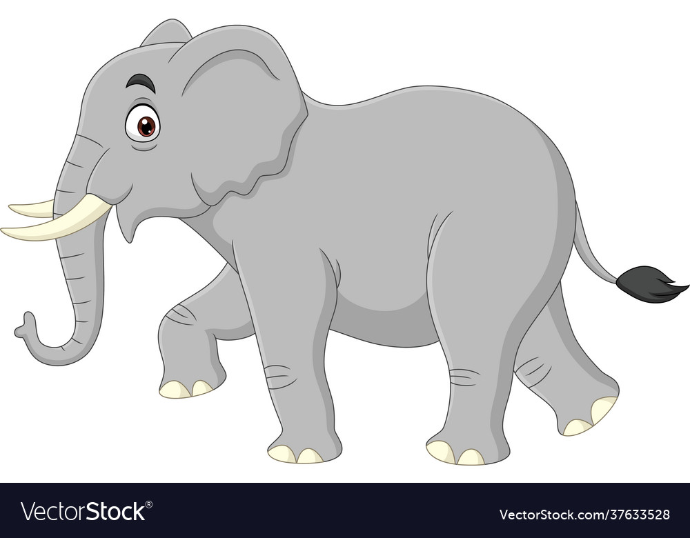 Cartoon elephant isolated on white background Vector Image