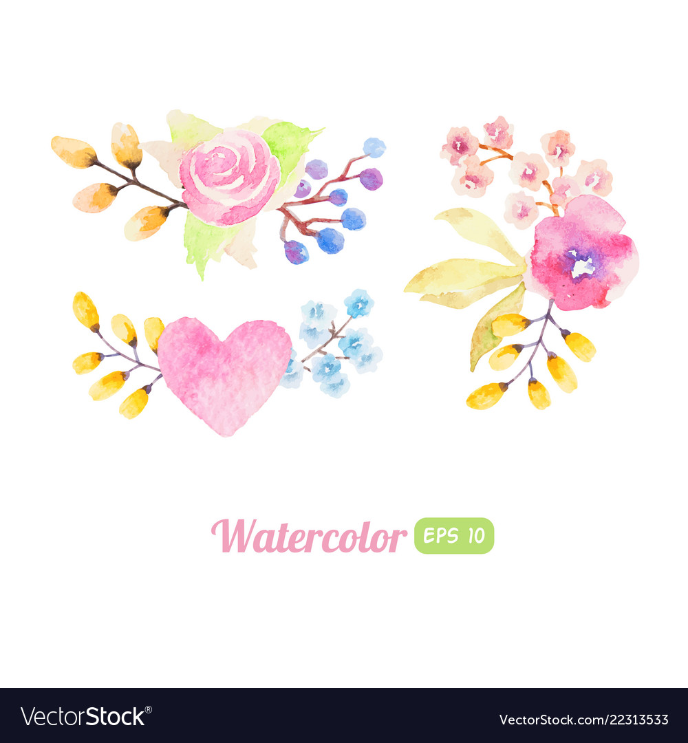 Set Of Watercolor Flower Elements Royalty Free Vector Image