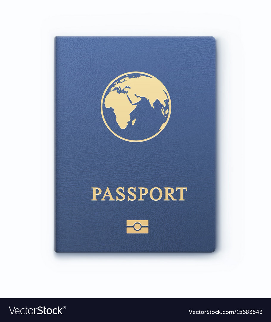 International identification document for travel Vector Image