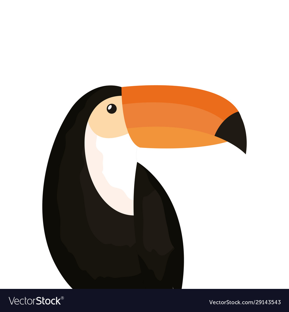 Toucan Tier exotische isolierte Ikone