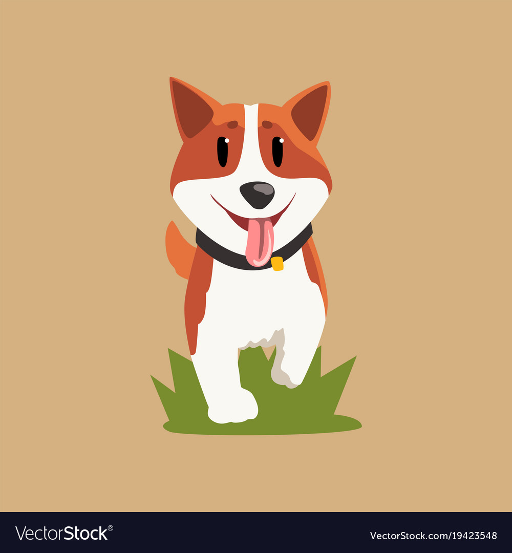 Adorable Red Haired Welsh Corgi Walking By Green Vector Image