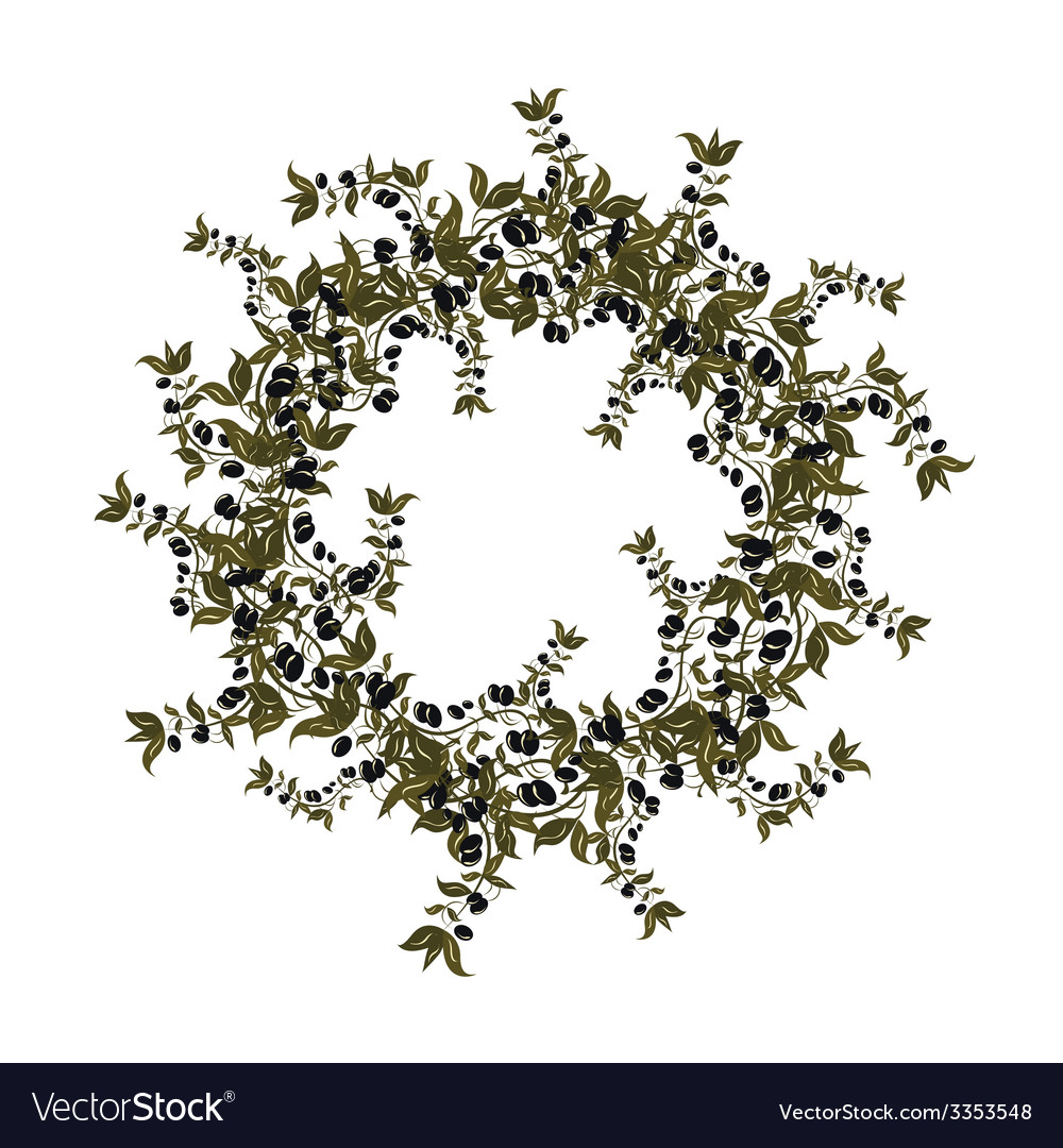 Black olives wreath on white background