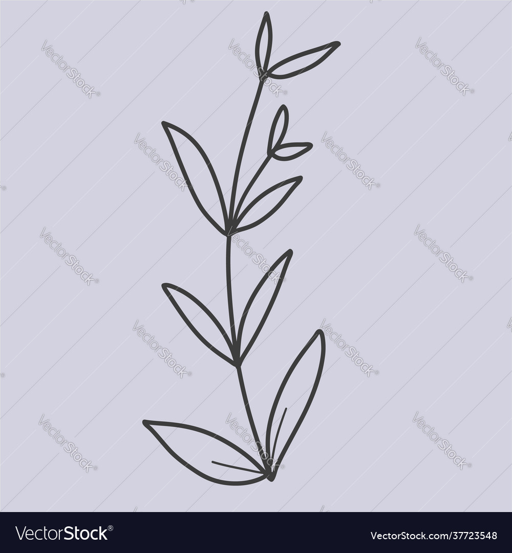 Botanical leaf doodle wild flower line art