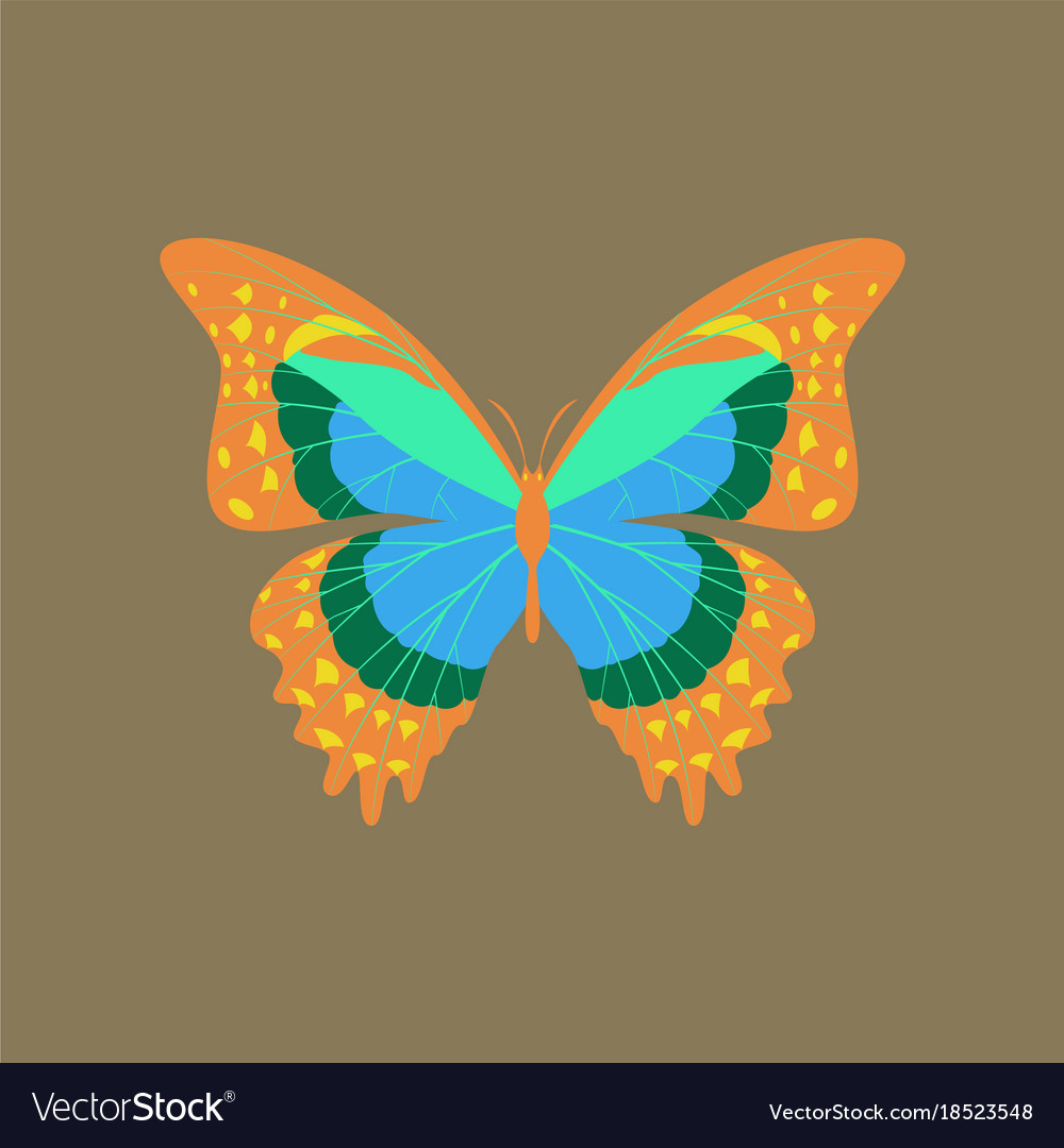 Colorful icon of butterfly isolated on brown