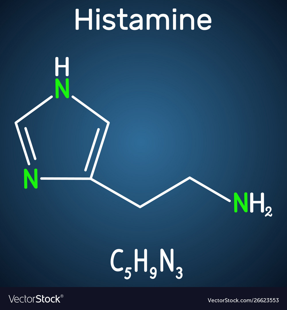 Histamine molecule it is amine nitrogenous Vector Image