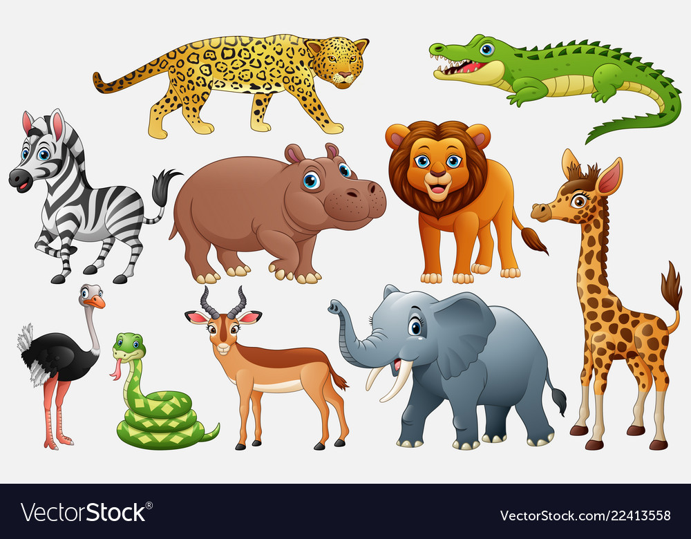 Animals In The Wild Cartoon