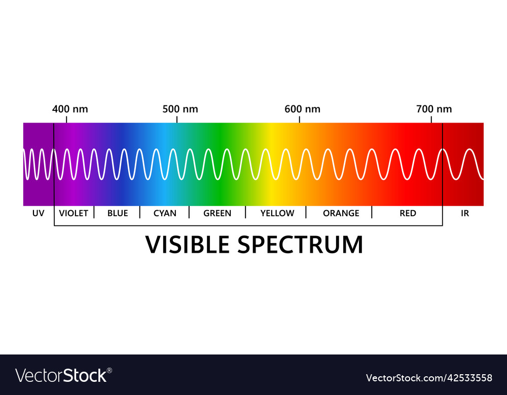 Visible light spectrum infared and ultraviolet Vector Image