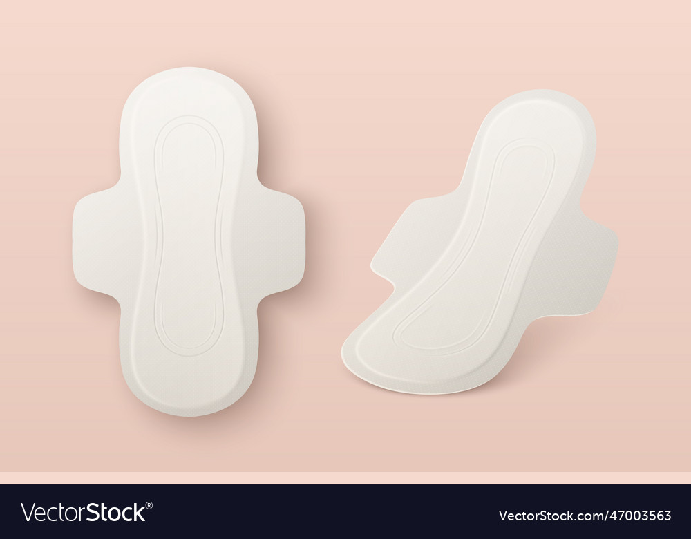 3d Realistic Menstrual Hygiene Products Royalty Free Vector 4241