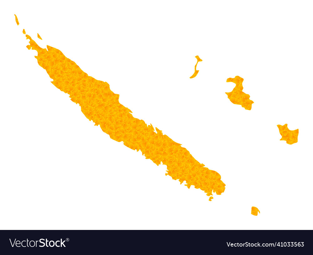 Gold map of new caledonia Royalty Free Vector Image