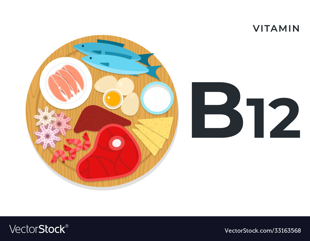 Products containing vitamin b12 flat Royalty Free Vector