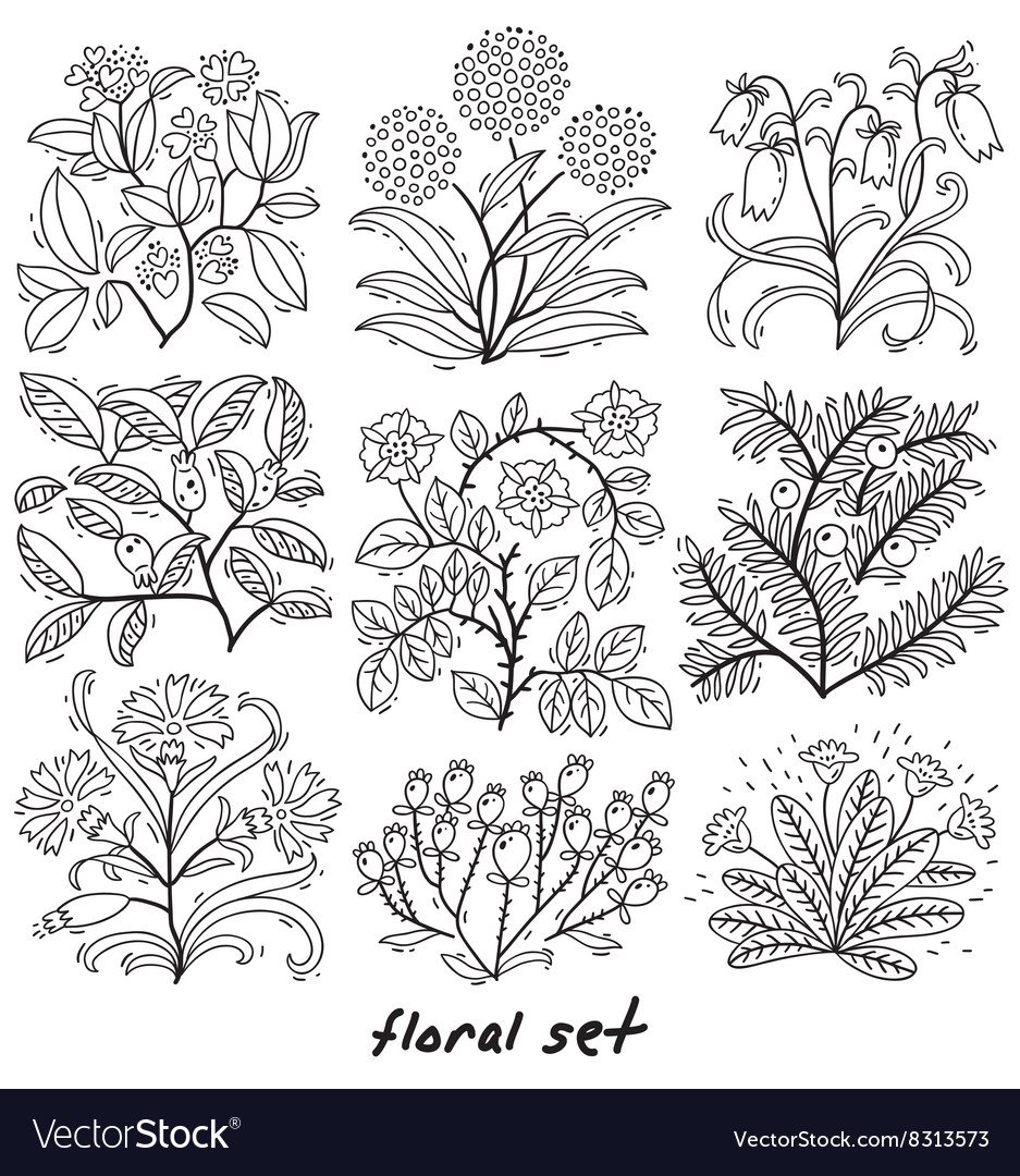 Set of plants with flowers and leaves