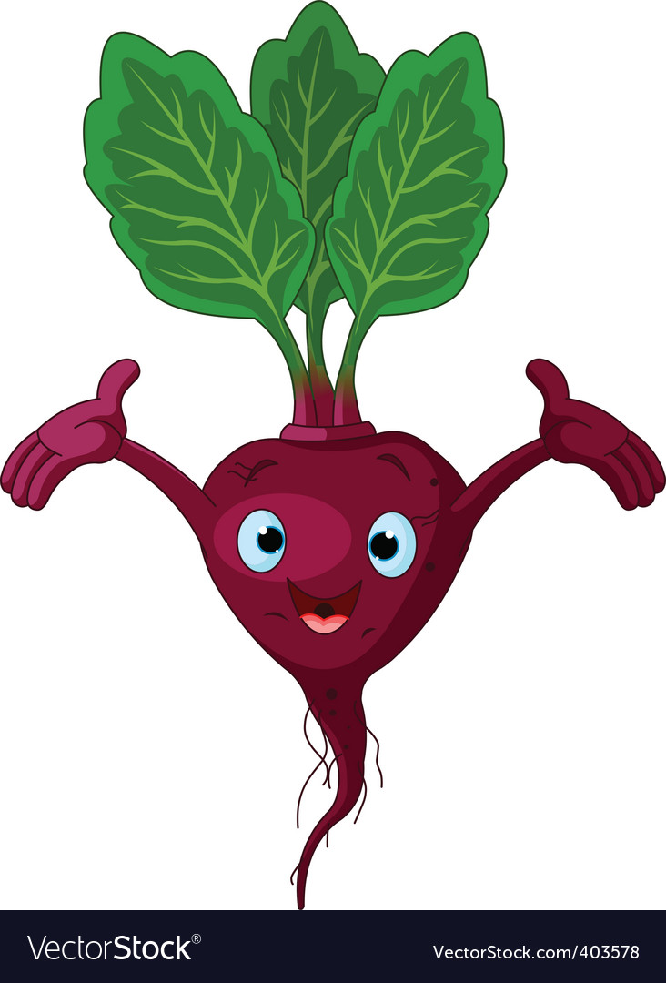 Beetroot Royalty Free Vector Image VectorStock