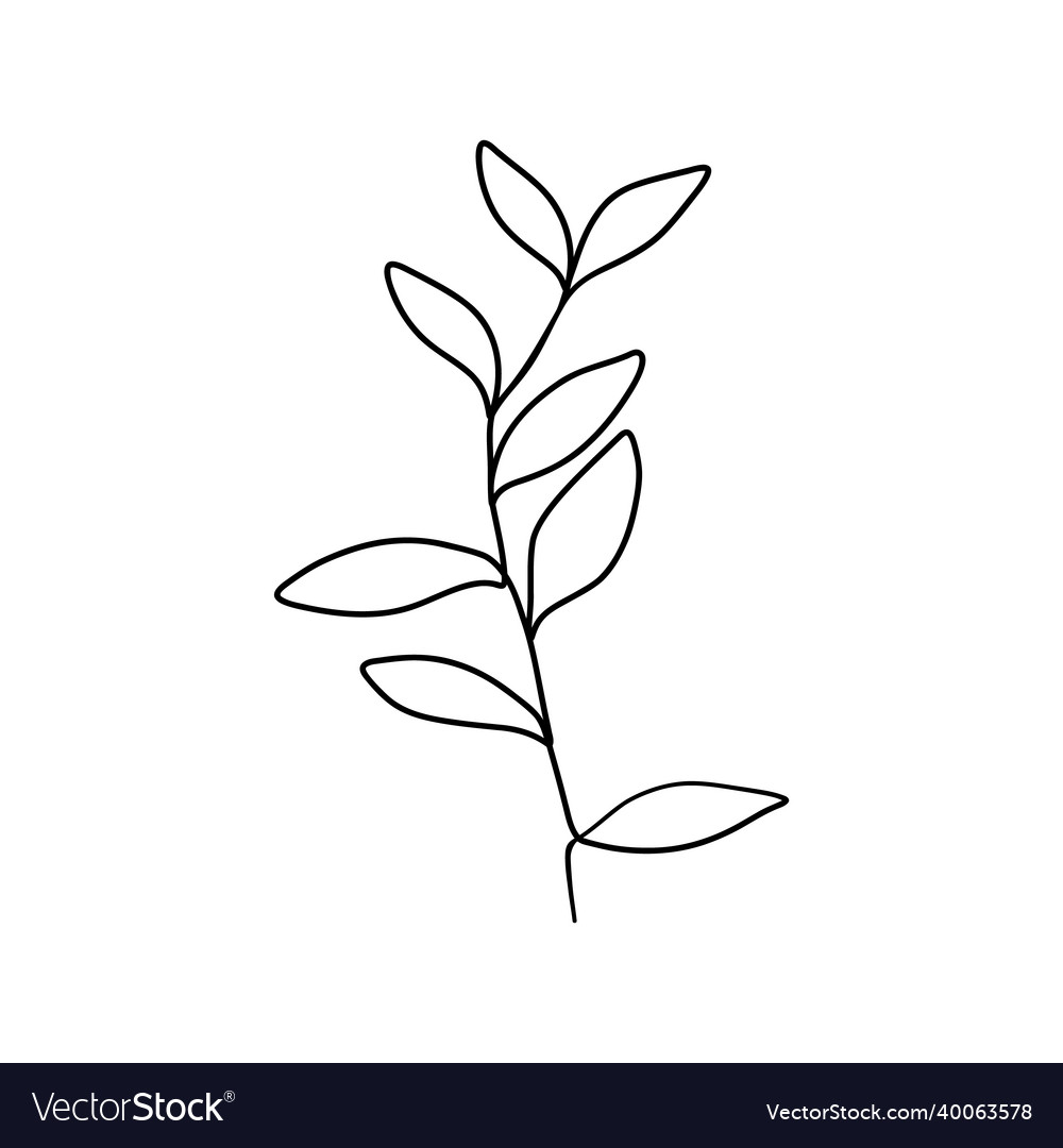 Botanical floral branch abstract continuous one Vector Image