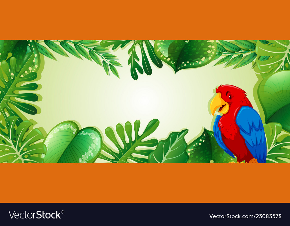 parrot in jungle template royalty free vector image