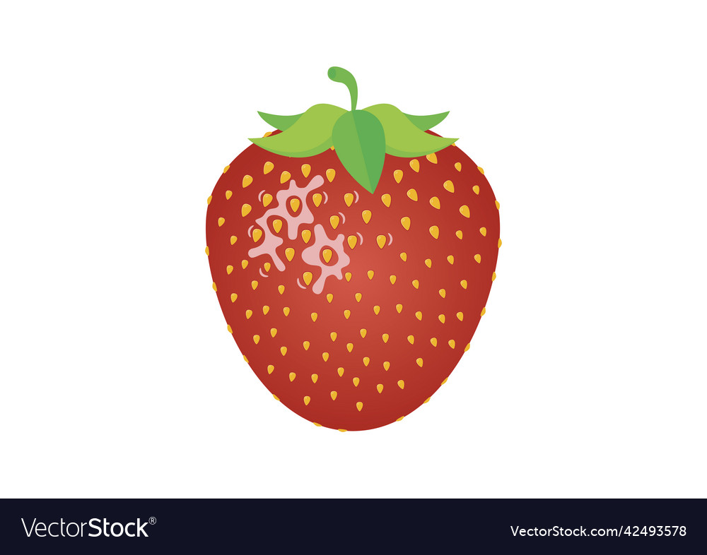 Strawberry fruit food icon Royalty Free Vector Image