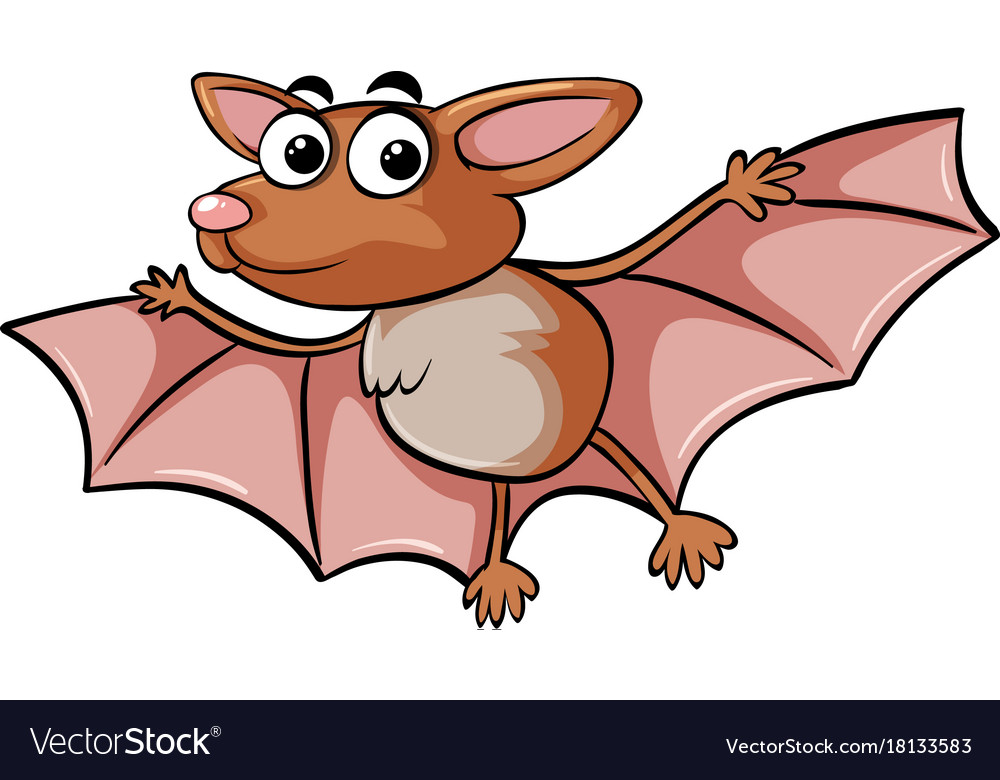 Bat with happy face