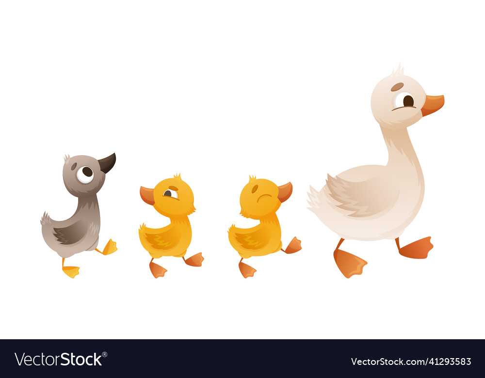 Goose family mother and her babyies ugly Vector Image