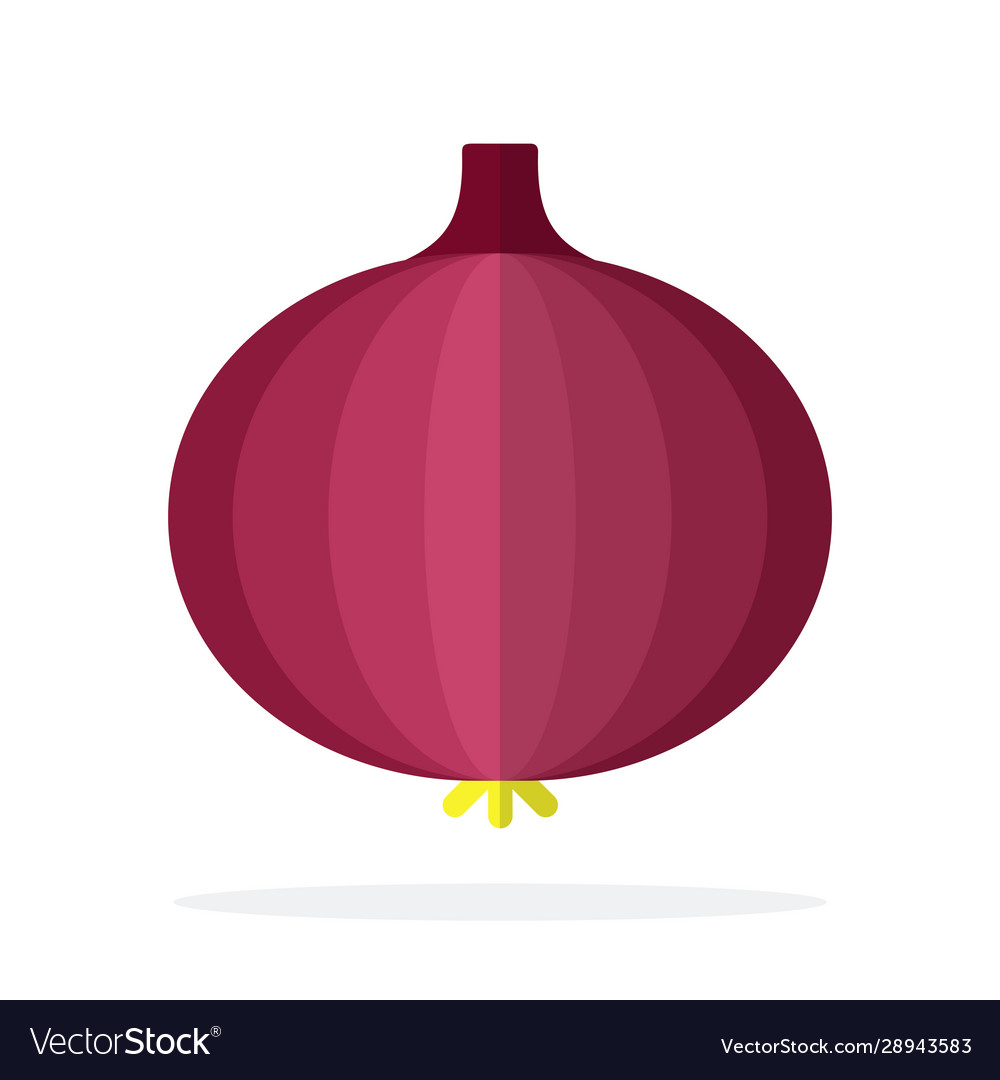 Red onion flat material design isolated object Vector Image