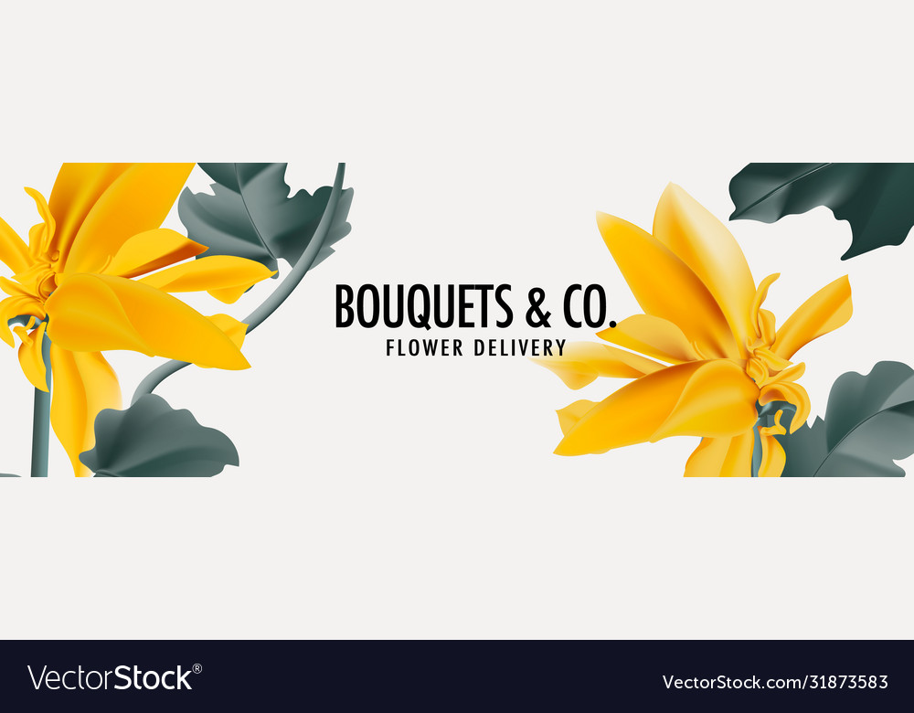 Yellow daisy flower watercolor art widefloral Vector Image