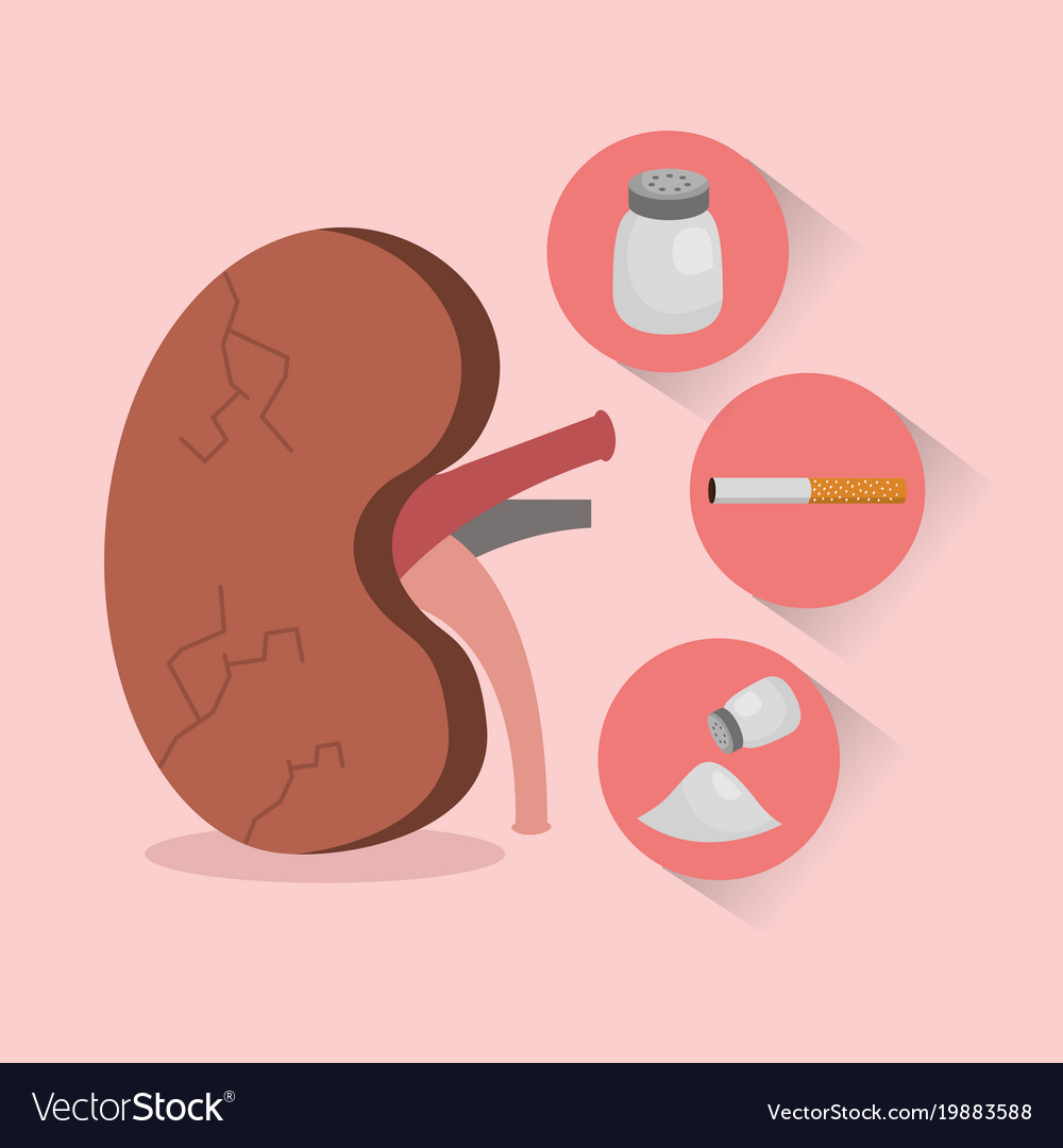 Cartoon kidney cigar salt health disease Vector Image