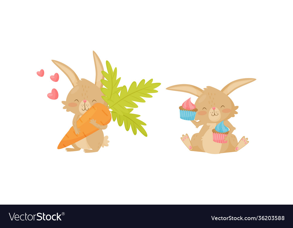 Cute rabbit with long pointed ears carrying carrot