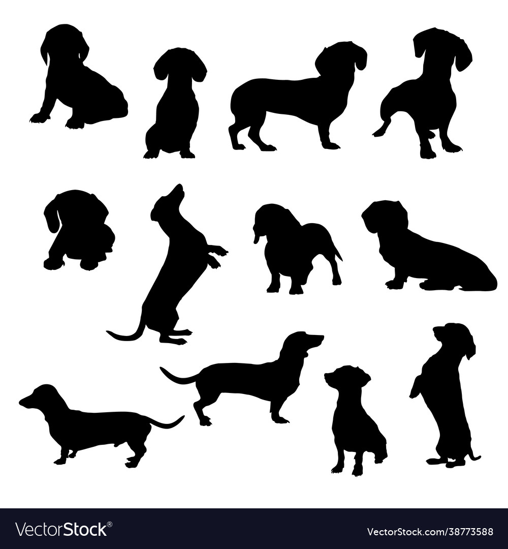 Dachshund silhouette silhouettes Royalty Free Vector Image