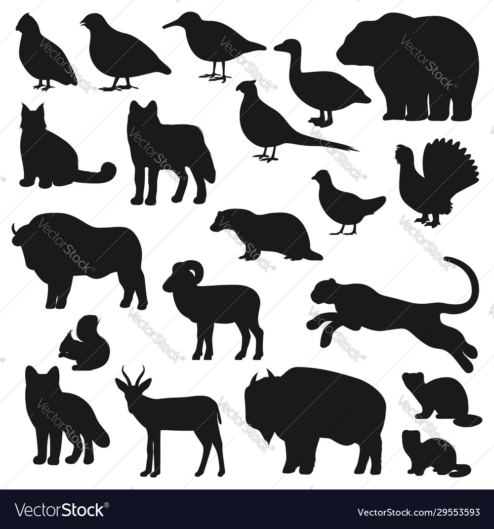 Bear duck buffalo wolf panther fox silhouette Vector Image