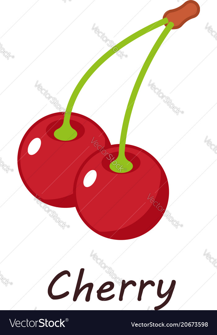 Cherry icon isometric style Royalty Free Vector Image