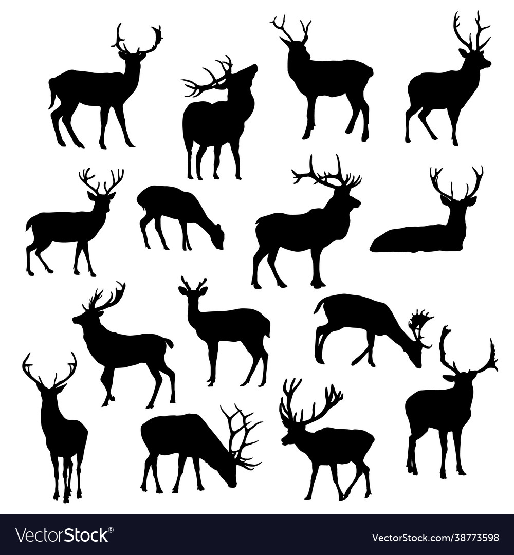 Collection silhouettes deer