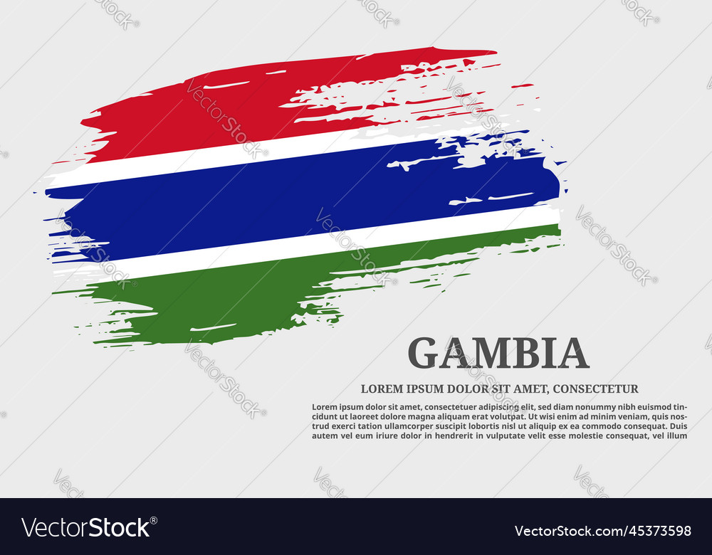 Gambia flag grunge brush and poster