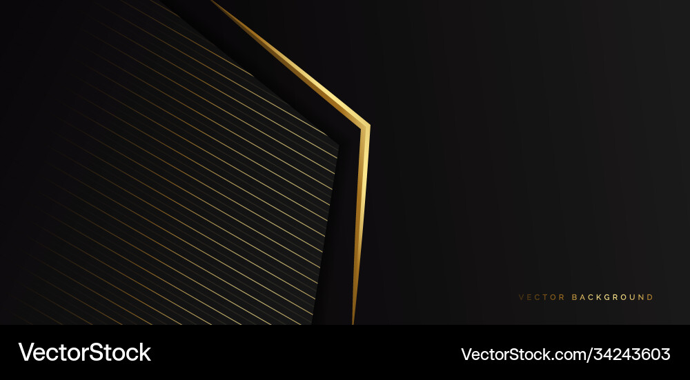 Abstract template black triangle background Vector Image