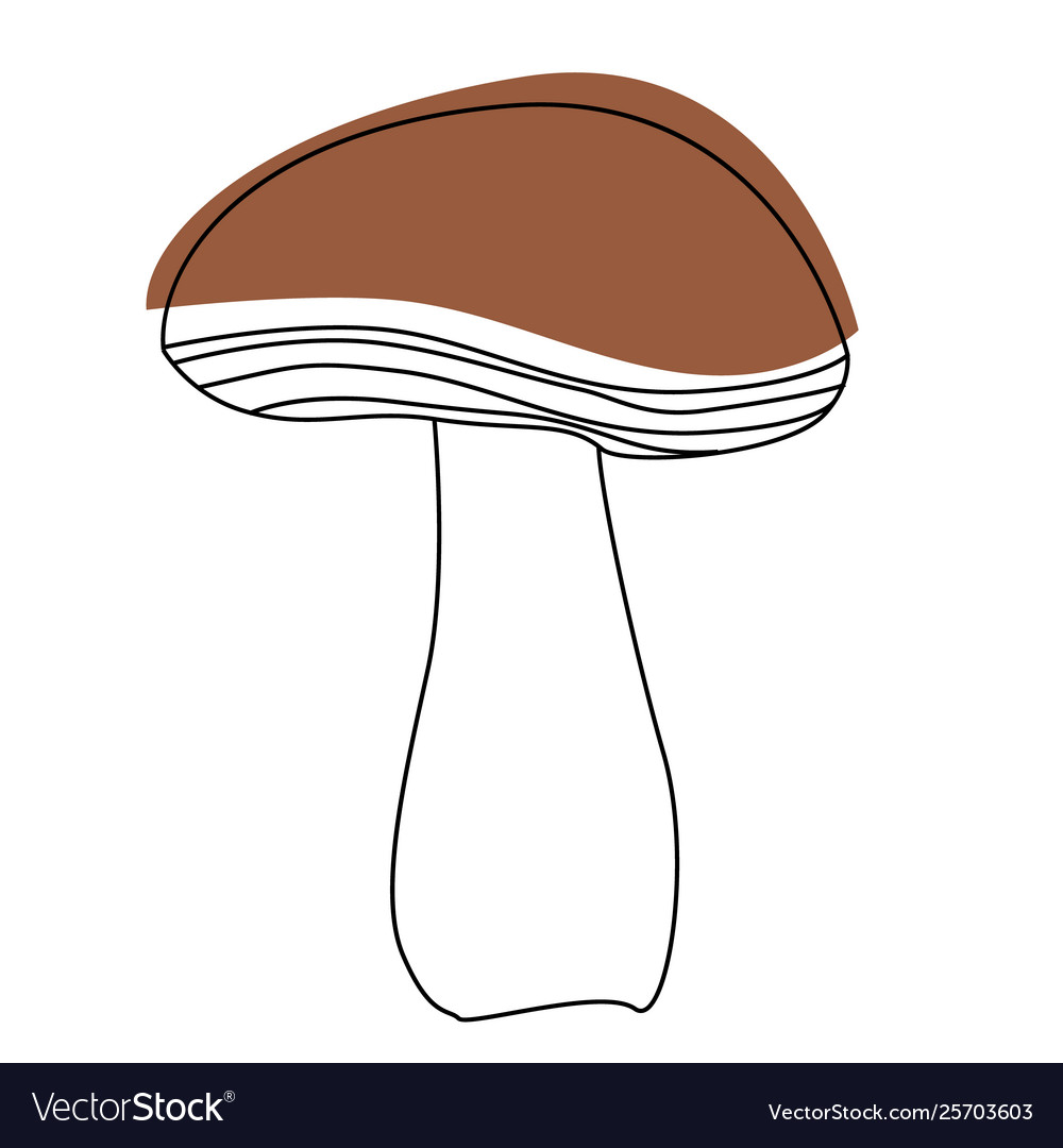 Mushroom hand drawn isolated