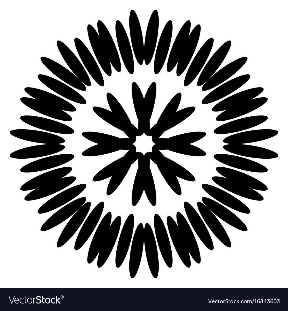 Symmetrical black aster circular pattern