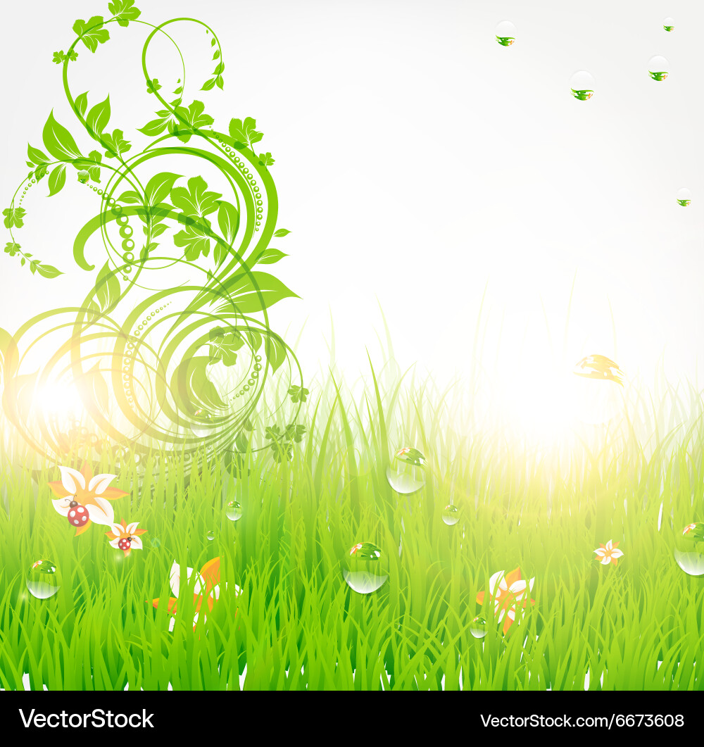 Green grass background Royalty Free Vector Image