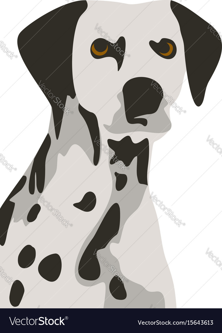 Dalmatian dog simple