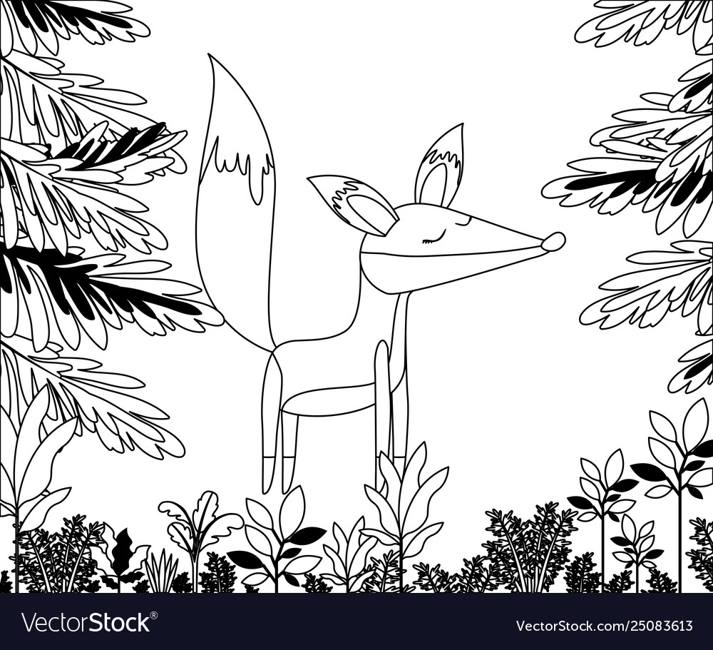 Wild fox in jungle scene