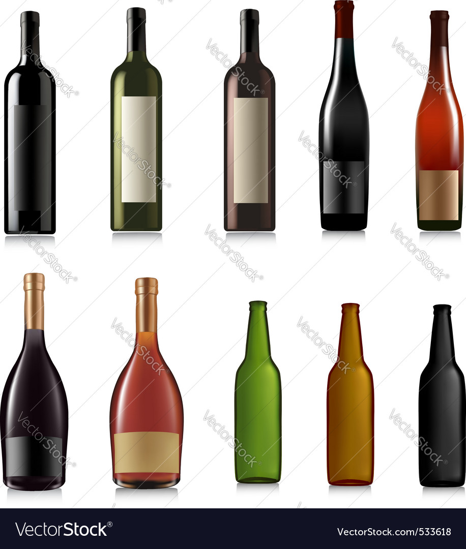 Set of different bottles Royalty Free Vector Image