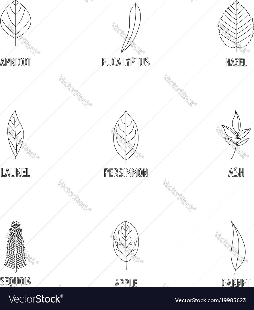 Wood structure icons set outline style Royalty Free Vector