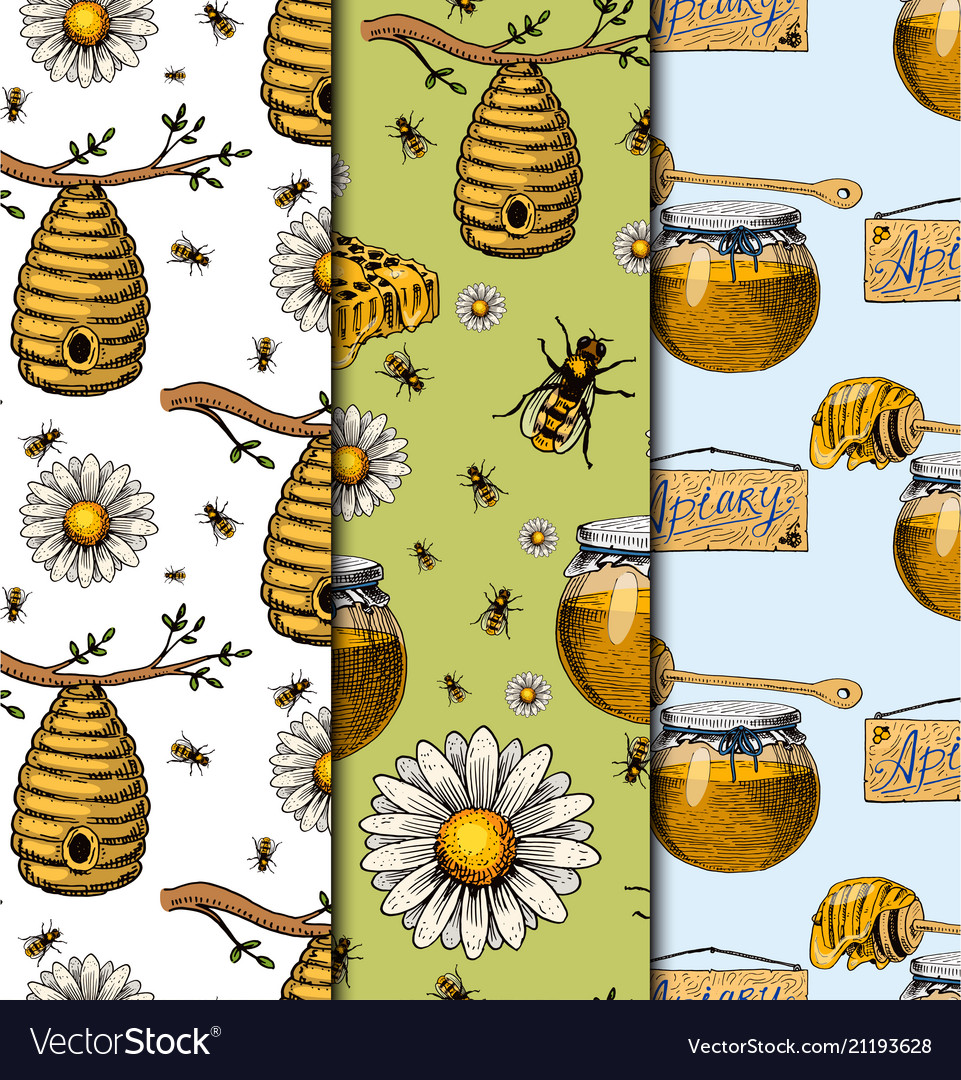 Apiary bee chamomile hand drawn vintage Royalty Free Vector