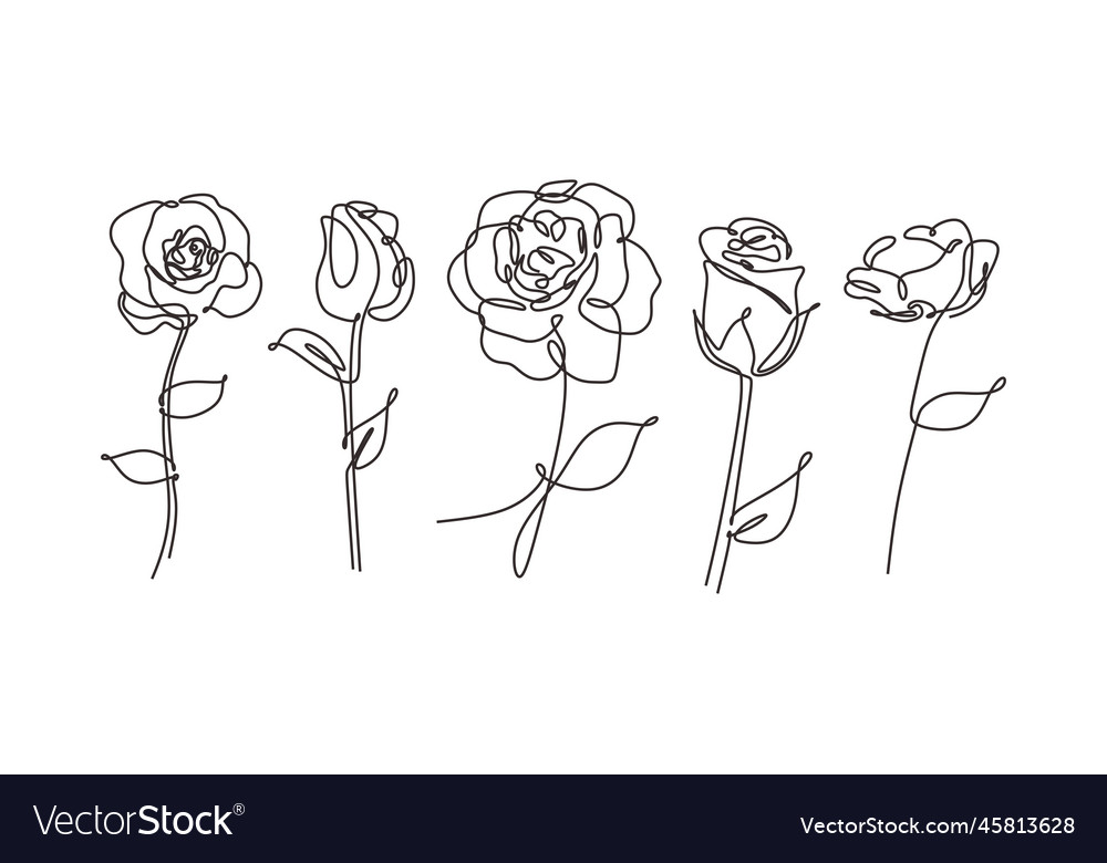 Single one line drawn set of flowers rose flower Vector Image