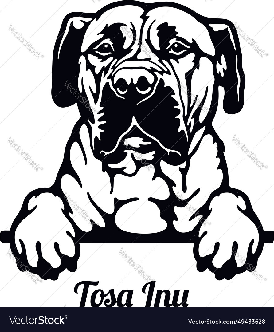 Tosa inu - color peeking dogs breed face head Vector Image